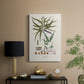 Botanical Society Ferns VIII - Canvas Art Print