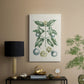 Buchoz Tropicals VII - Canvas Art Print