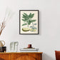 Buchoz Tropicals IV - Restickable Framed Art Print