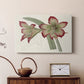 Amaryllis Varietals IV - Canvas Art Print