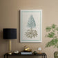 Willow Blue Besler VI - Canvas Art Print