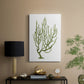 Coral Souvenirs III - Canvas Art Print
