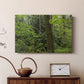 Calm of the Forest - Canvas Art Print
