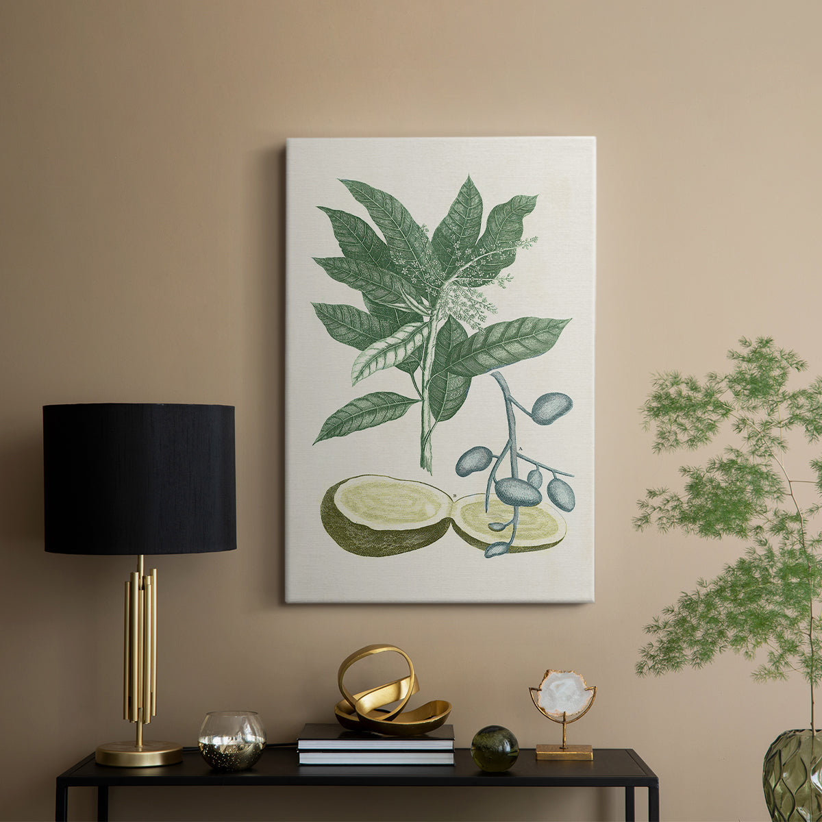 Buchoz Tropicals IV - Canvas Art Print