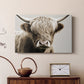 Highland Cow LXXXVI - Canvas Art Print