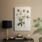 Flowers of the Seasons VIII - Canvas Art Print