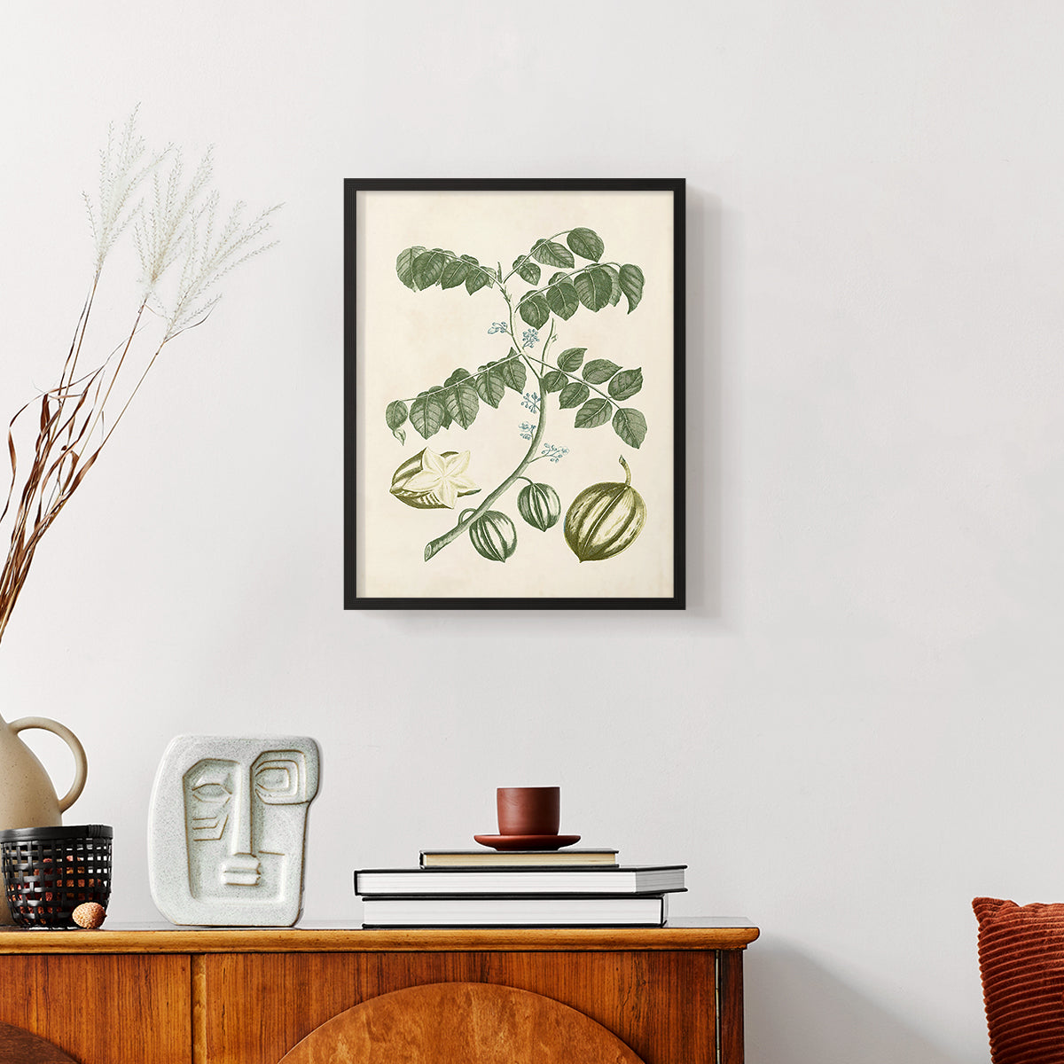 Buchoz Tropicals II - Restickable Framed Art Print