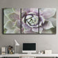 Three-panel canvas wall art featuring close up succulent photography, displayed above a desk in a home office.