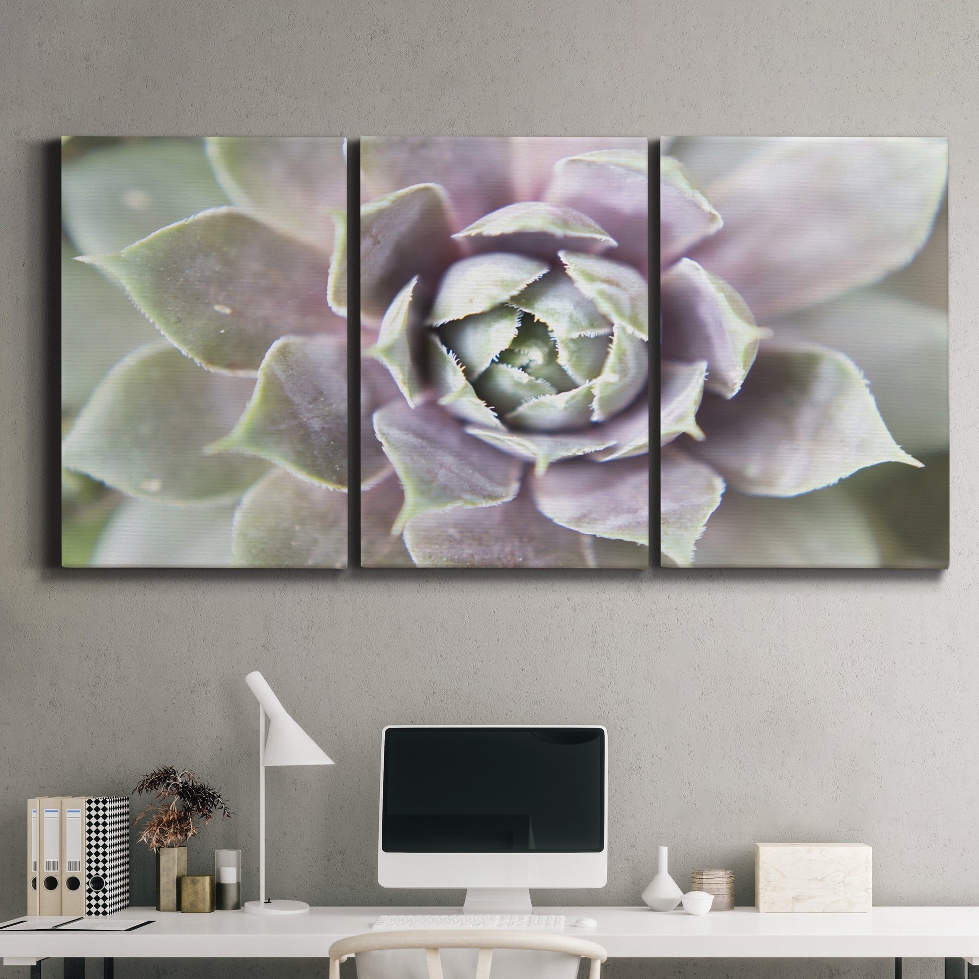 Three-panel canvas wall art featuring close up succulent photography, displayed above a desk in a home office.