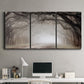 Three-panel canvas wall art featuring tree lined plantation road, displayed above a desk in a home office.