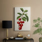 Antique Fruit II - Canvas Art Print