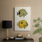 Yellow & Grey Fish III - Canvas Art Print