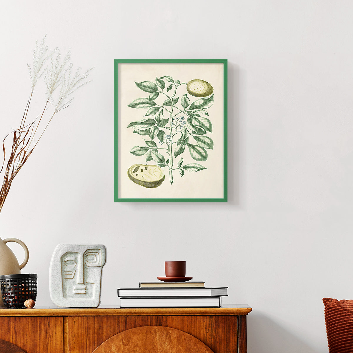 Buchoz Tropicals III - Restickable Framed Art Print