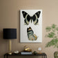 Antique Blue Butterflies I - Canvas Art Print