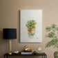 Succulent II - Canvas Art Print