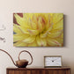 Blooms I - Canvas Art Print