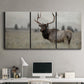 Three-panel canvas wall art featuring elk standing in open grassland, displayed above a desk in a home office.