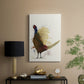 Pheasant Splash 8 - Canvas Art Print