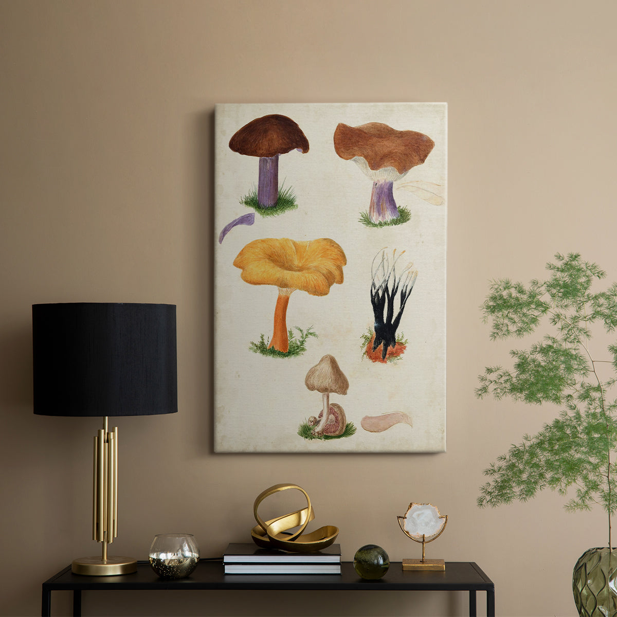 Mushroom Species VII - Canvas Art Print
