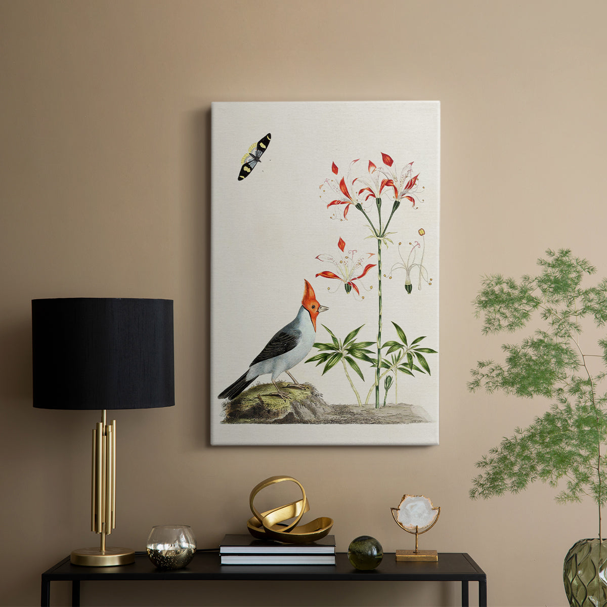 Red-Crested Cardinal and Peruvian Lily, 1796 - Canvas Art Print