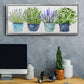 Fresh Herb Collection - Floater Framed Canvas Print