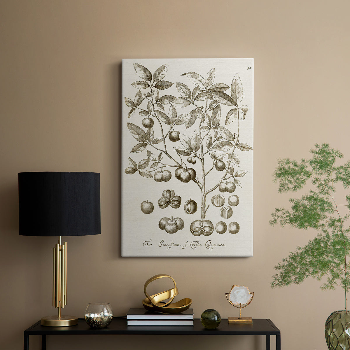 Sepia Botanical Journal II - Canvas Art Print