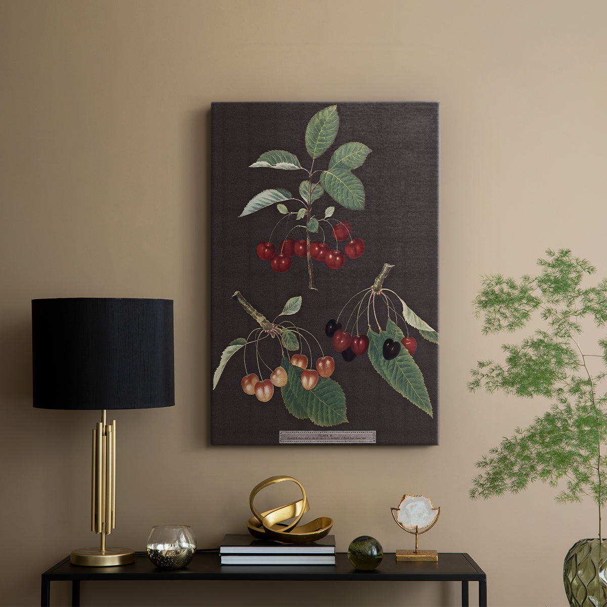 Brookshaw Cherries - Canvas Art Print