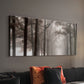 Misty Road - Canvas Art Print