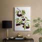 Watercolor Cherries - Canvas Art Print