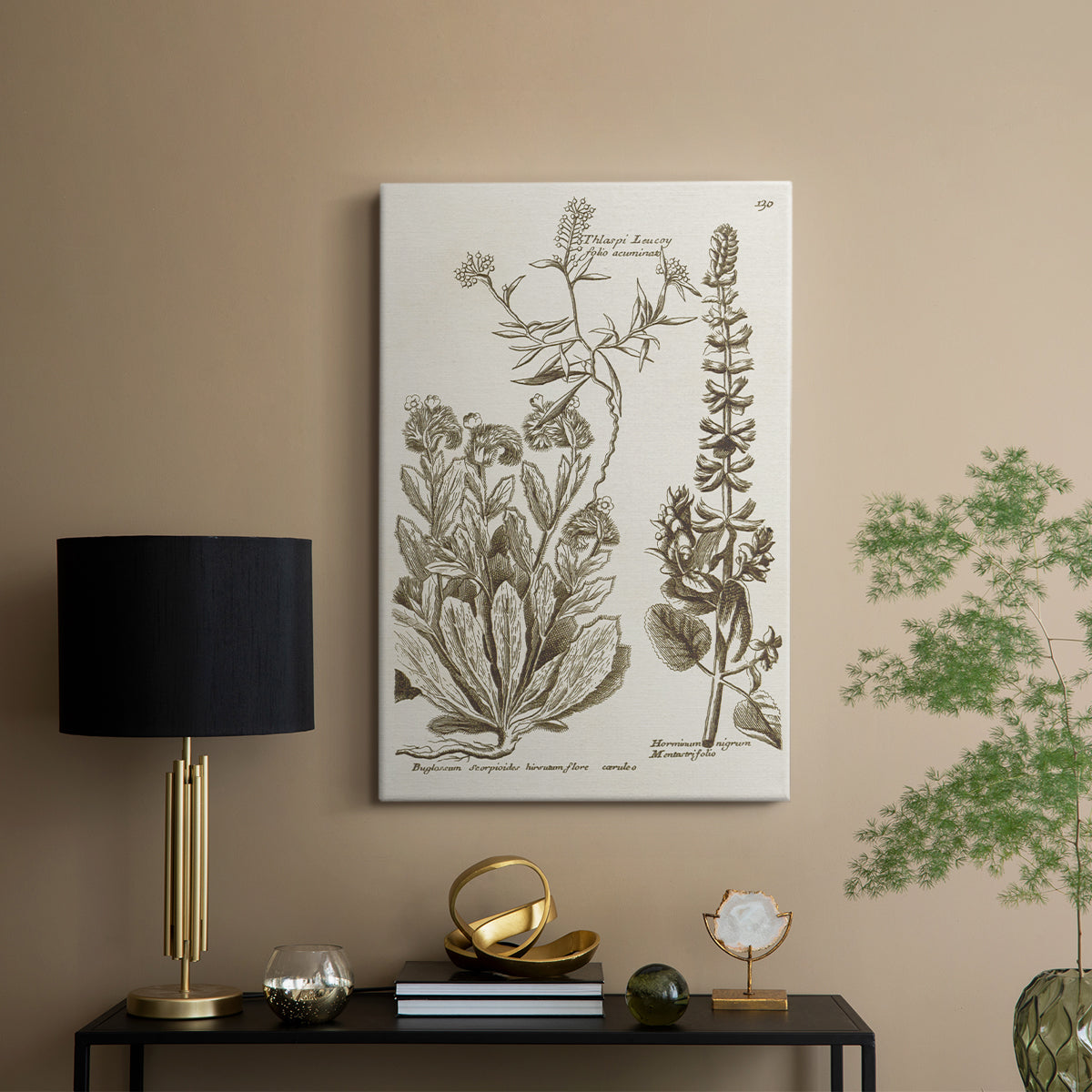 Sepia Botanical Journal IV - Canvas Art Print