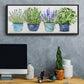 Fresh Herb Collection - Floater Framed Canvas Print
