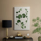 Forest Foliage on Linen II - Canvas Art Print