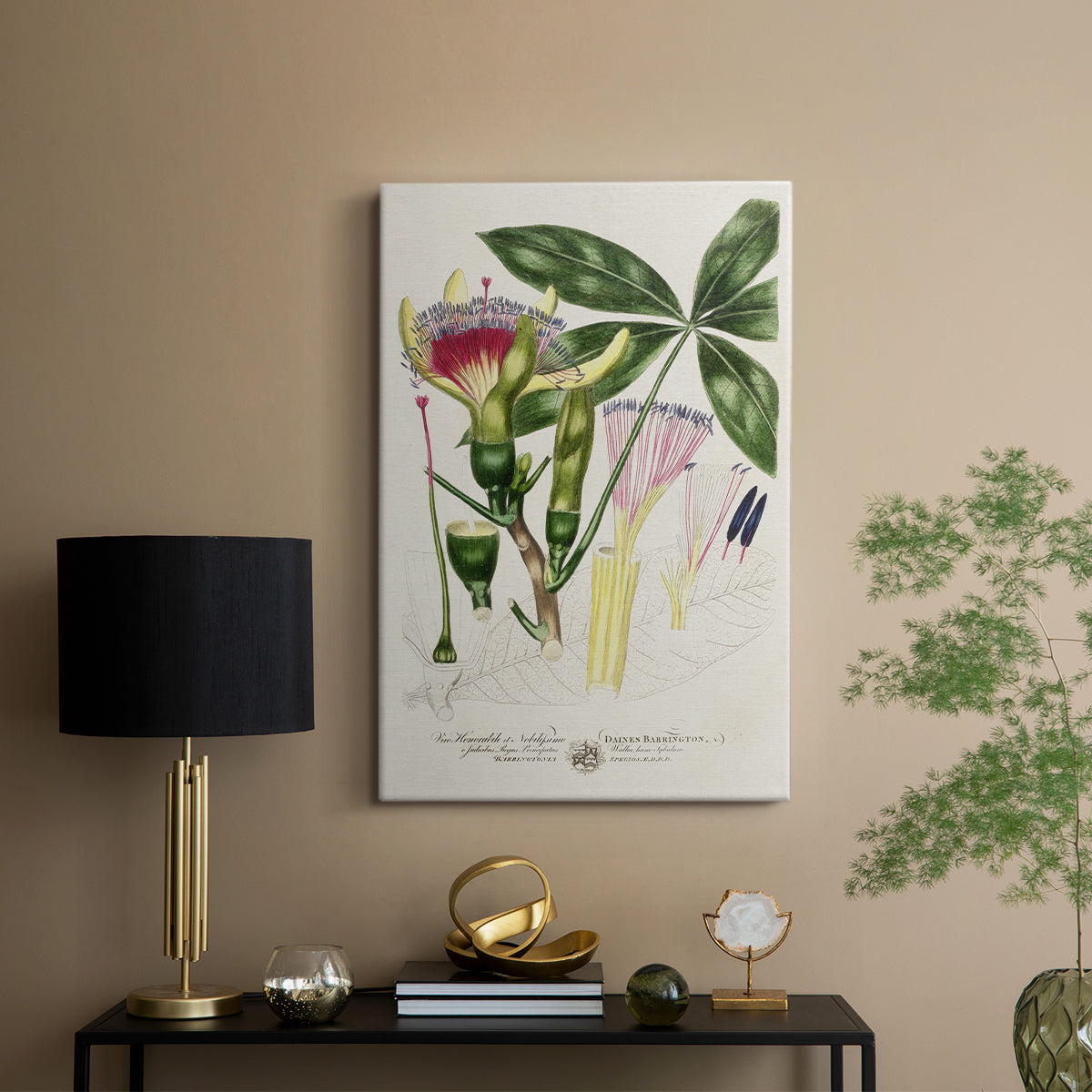 Imperial Tropical Botanical II - Canvas Art Print