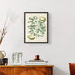 Buchoz Tropicals III - Restickable Framed Art Print