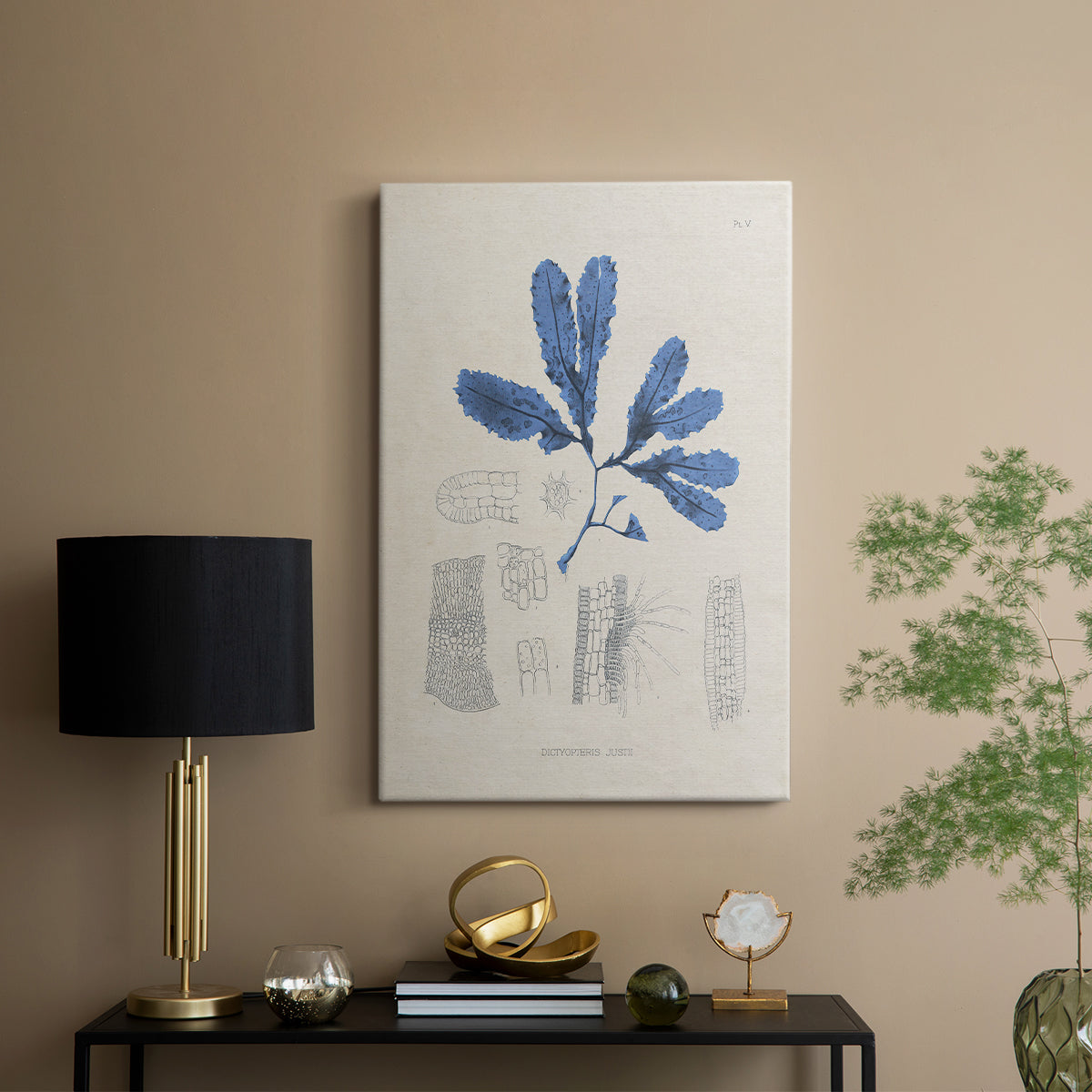 Blue Marine Algae VII - Canvas Art Print