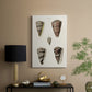 Cone Shell Collection III - Canvas Art Print