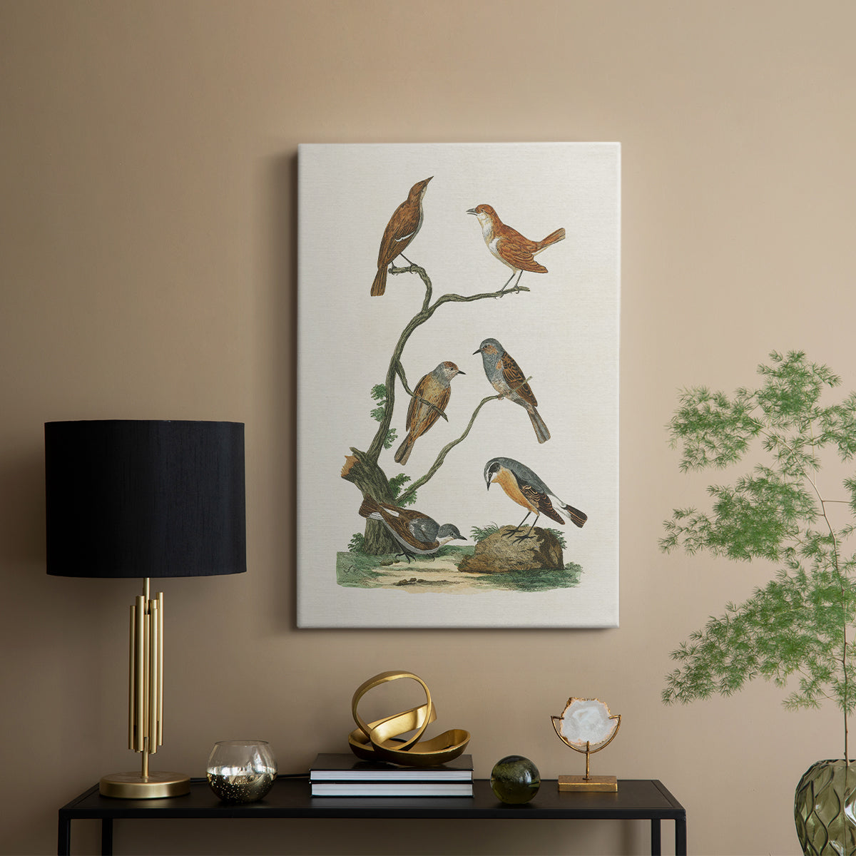 Antique Birds in Nature IV - Canvas Art Print