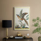 Spotted Andalusian Cuckoo, 1771-1775 - Canvas Art Print
