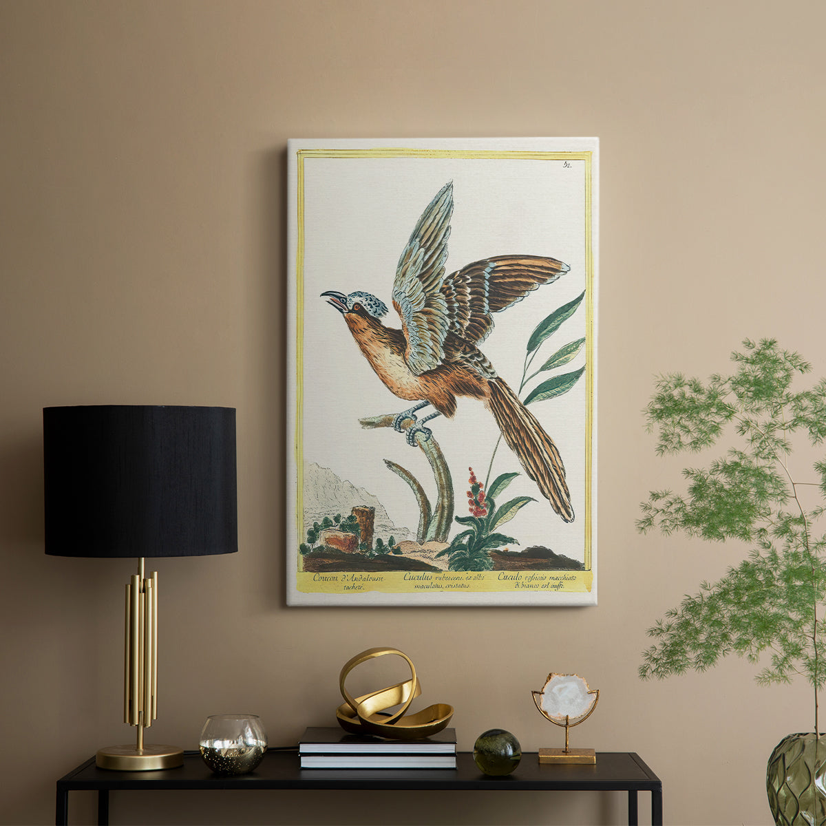 Spotted Andalusian Cuckoo, 1771-1775 - Canvas Art Print