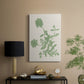 Vintage Garden II - Canvas Art Print