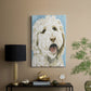 Labradoodle II - Canvas Art Print
