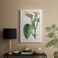 Turpin Tropical Botanicals II - Canvas Art Print