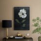 Country Botanical I - Canvas Art Print