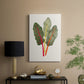 Organic Veg V - Canvas Art Print