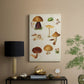 Mushroom Species II - Canvas Art Print