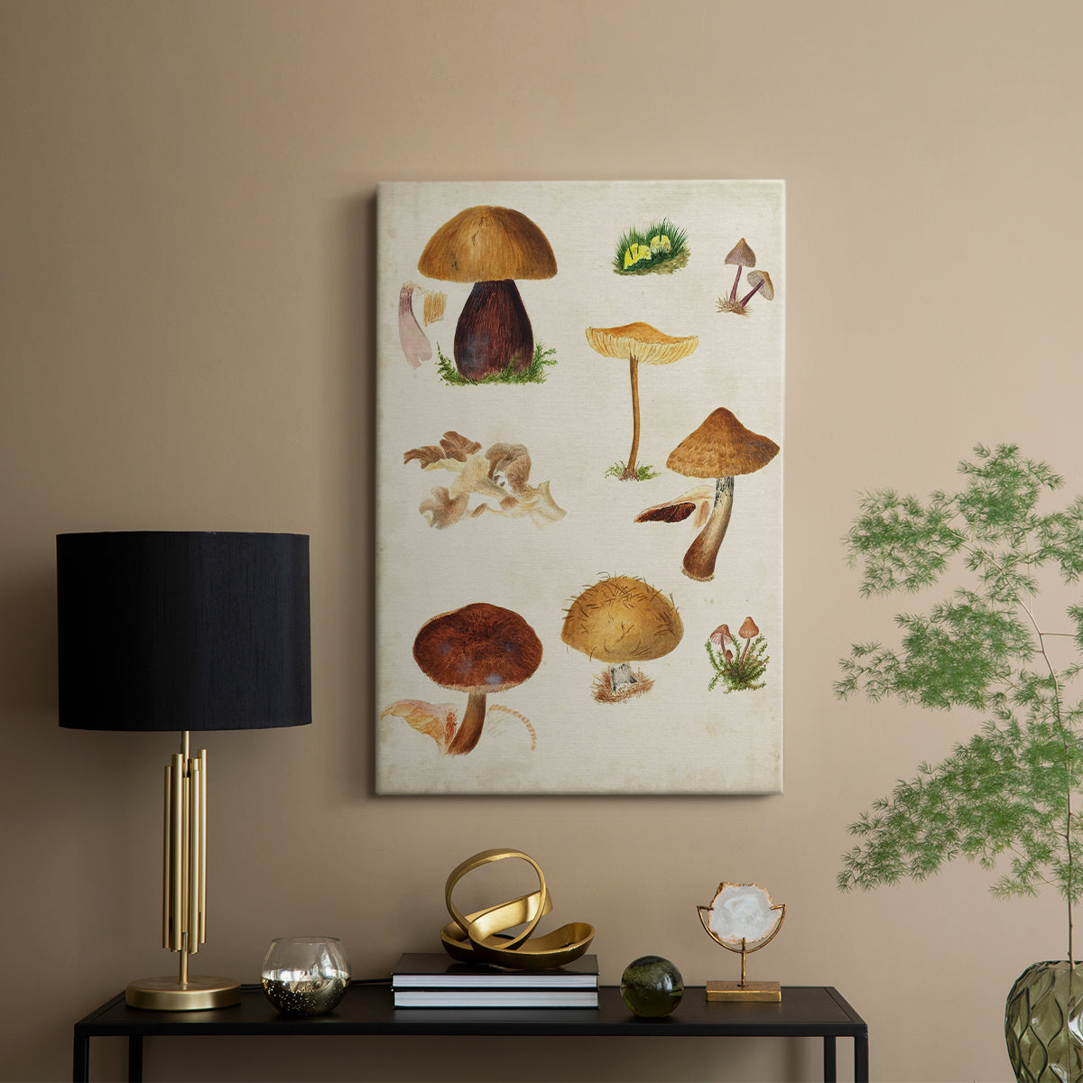 Mushroom Species II - Canvas Art Print