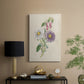 Antique Garden Bouquet III - Canvas Art Print