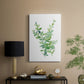 Eucalyptus III - Canvas Art Print