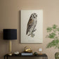 French Owls III - Canvas Art Print