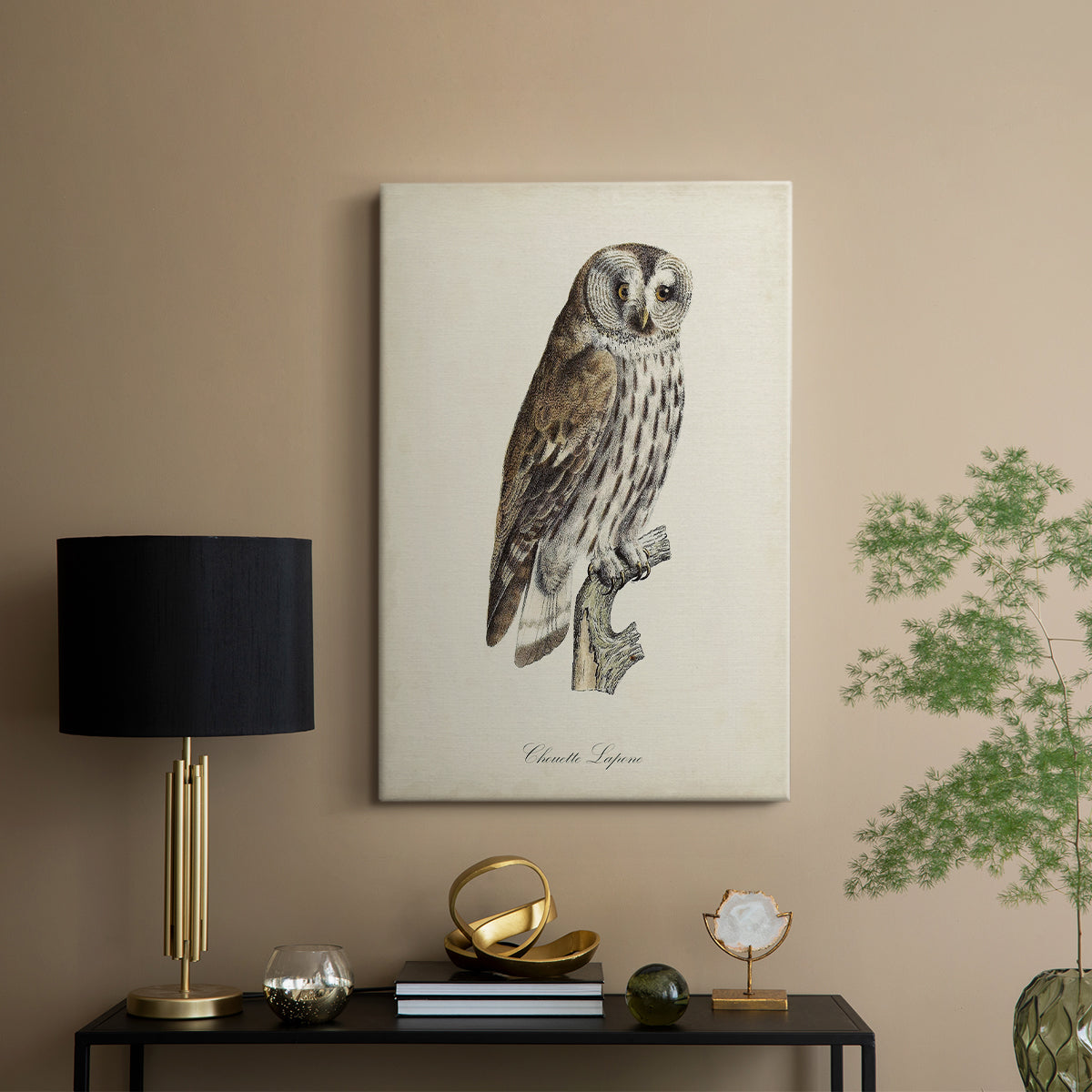 French Owls III - Canvas Art Print